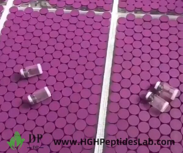 HCG vials – warehouse stock