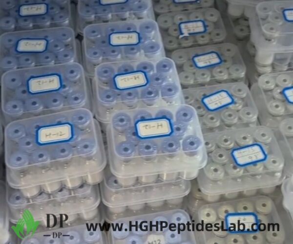 Myostatin peptide inventory and QC process – HGH Peptides Lab