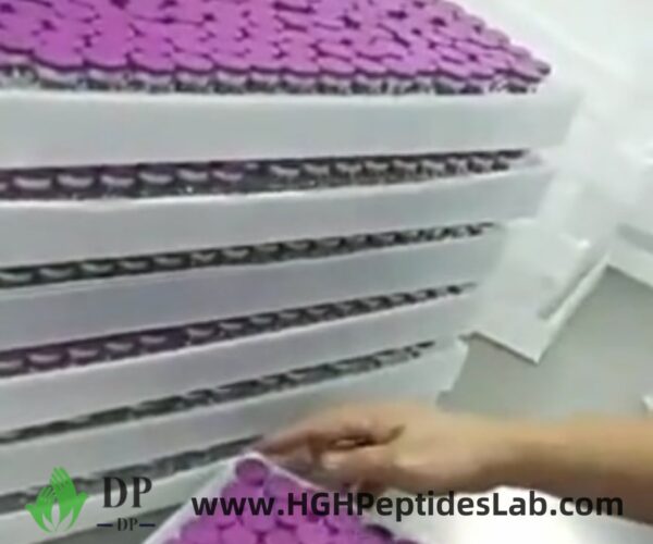 Bulk tray of retatrutide vials on packaging line