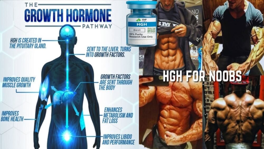 HGH (Human Growth Hormone) peptide guide — uses, handling & buying tips — HGH Peptides Lab