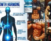 HGH (Human Growth Hormone) peptide guide — uses, handling & buying tips — HGH Peptides Lab