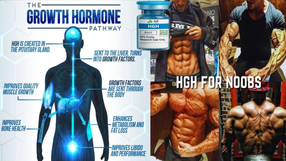 HGH (Human Growth Hormone) Guide: Uses, Handling & Price