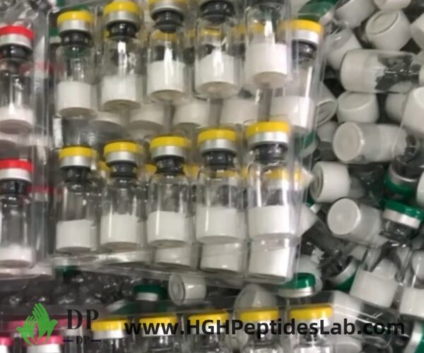 SNAP-8 peptide kits — factory-direct packing — HGH Peptides Lab