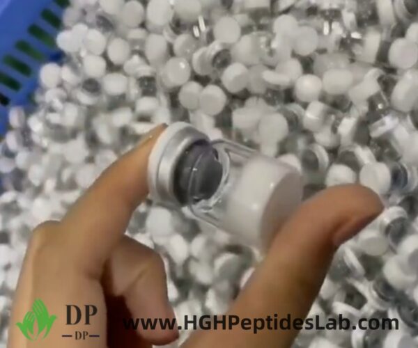 Protective packing for Thymalin peptide kits — secure logistics
